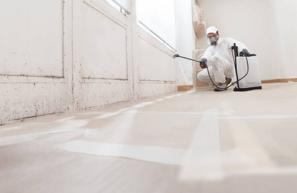 24/7 Emergency Mold Inspection experts in Bryantown, MD